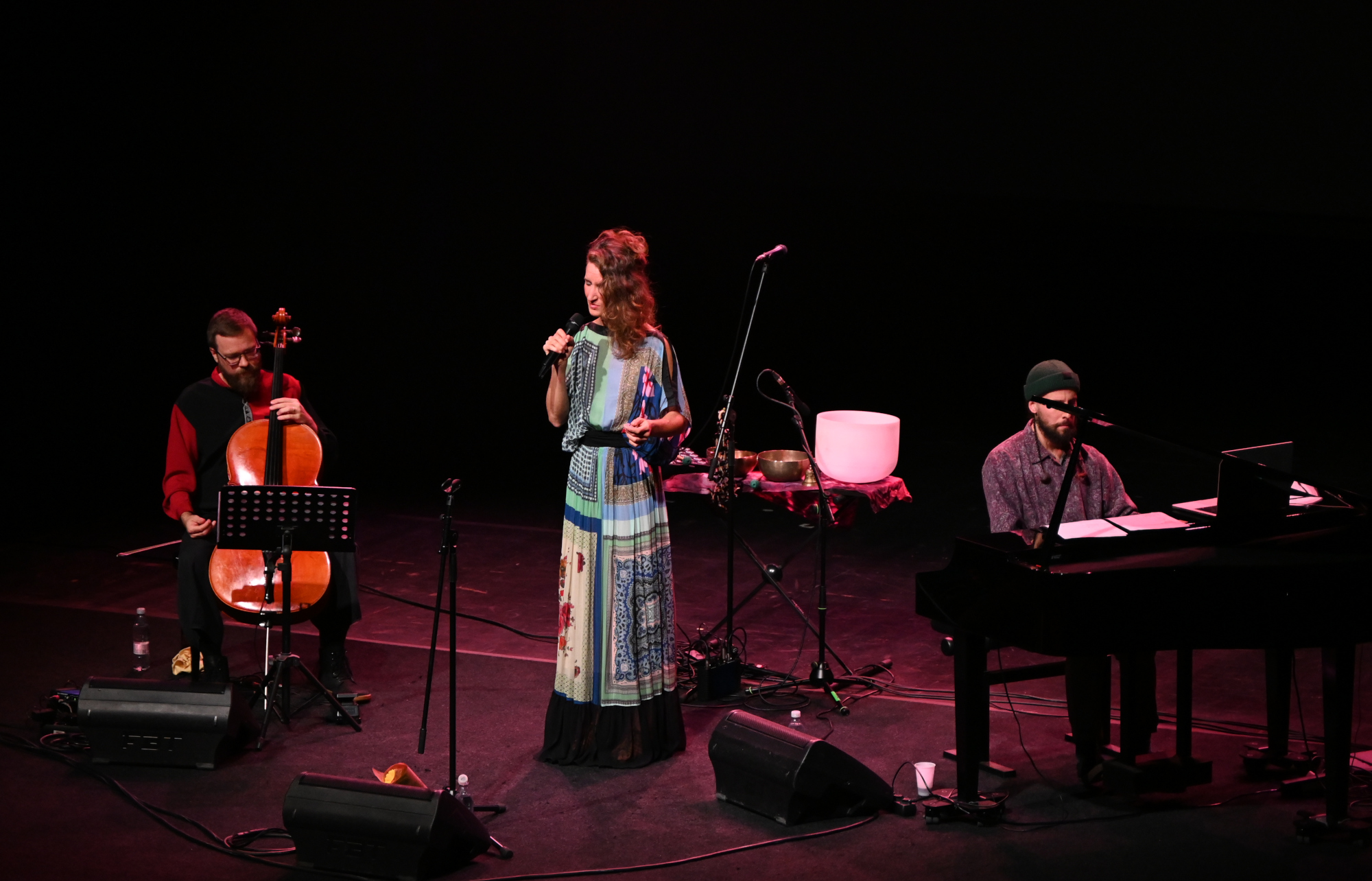 Koncert v GBJ! Allja Petric: Pejsaži Prekmurja